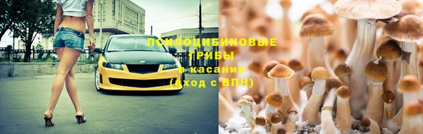 винт Лиски