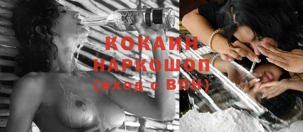винт Лиски
