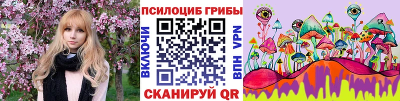 Псилоцибиновые грибы мухоморы  блэк спрут tor  сайты даркнета телеграм  Нестеровская 